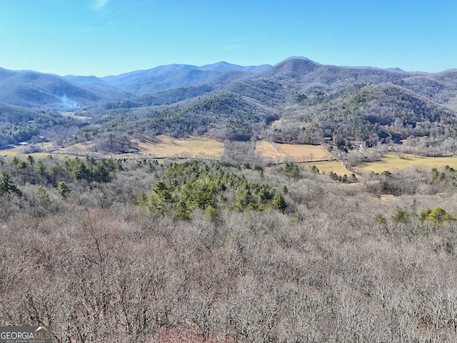 0 Walls Mtn, Hiawassee, GA 30546