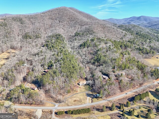 0 Walls Mtn, Hiawassee, GA 30546