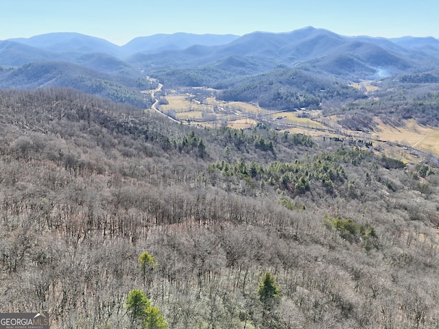 0 Walls Mtn, Hiawassee, GA 30546