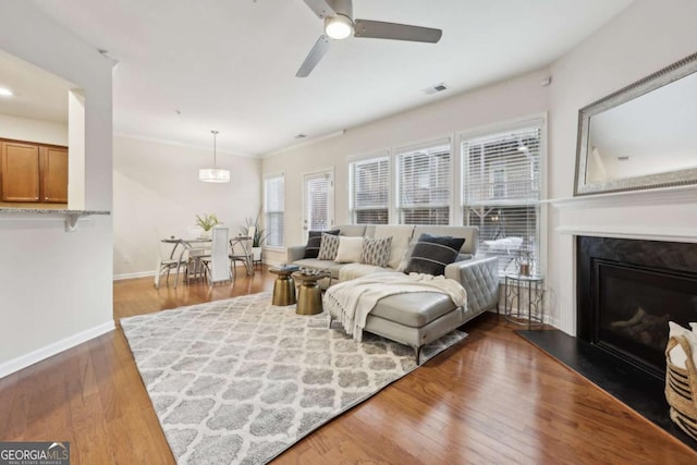 living area featuring a wealth of natural light, dark wood-style flooring, visible vents, and baseboards