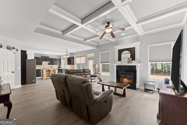 living area with light wood-type flooring, a glass covered fireplace, a healthy amount of sunlight, and coffered ceiling