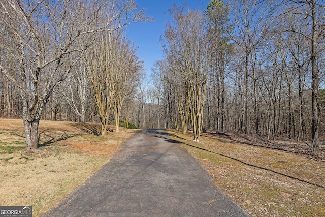 view of street featuring a forest view