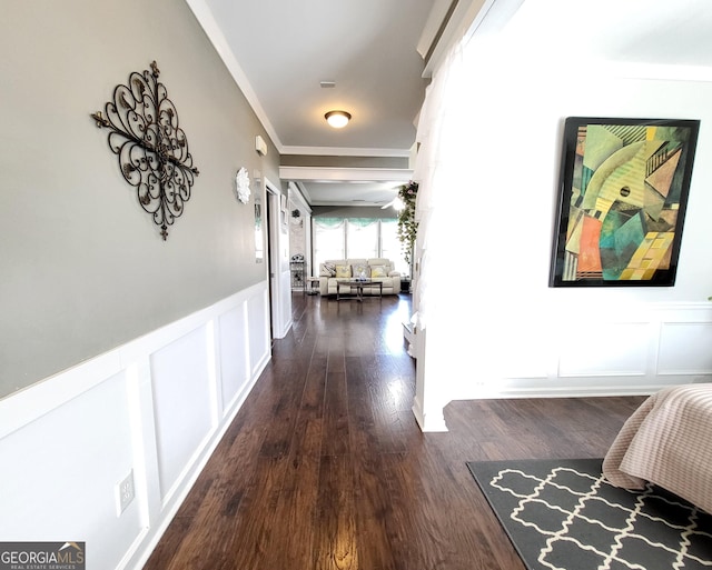 corridor with a wainscoted wall, ornamental molding, a decorative wall, and dark wood-type flooring