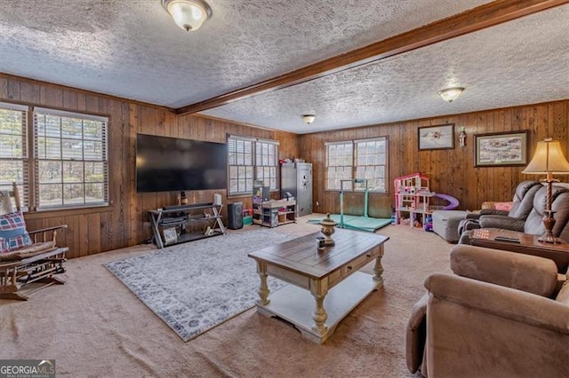 living area featuring wooden walls, carpet flooring, and a textured ceiling