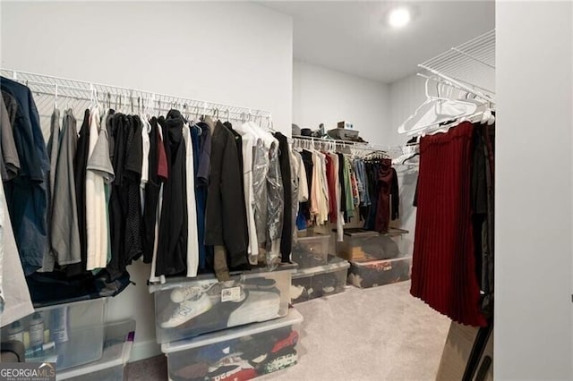 walk in closet with carpet floors