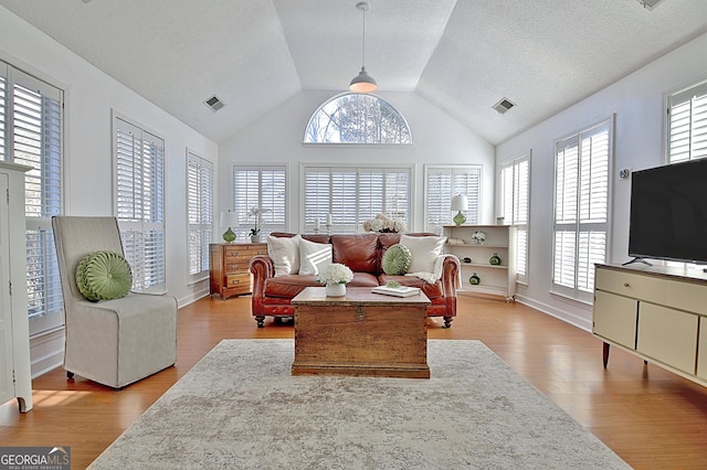 living room featuring a wealth of natural light, light wood finished floors, and visible vents