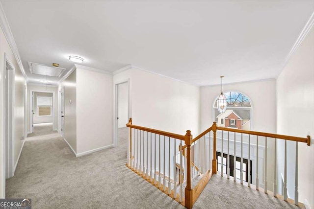 hallway with light carpet, baseboards, attic access, and crown molding