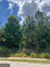 4864 Grandview Ct, Flowery Branch GA, 30542 land for sale