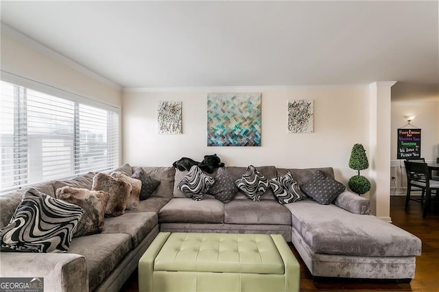 living area featuring dark wood-style flooring and crown molding