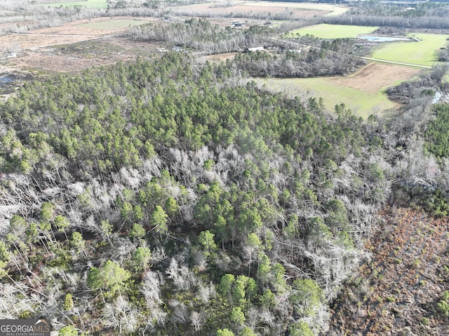 birds eye view of property with a rural view