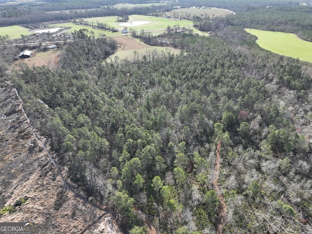 bird's eye view