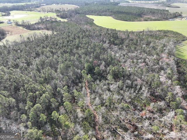 bird's eye view featuring a rural view