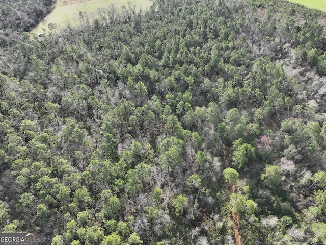 aerial view with a forest view