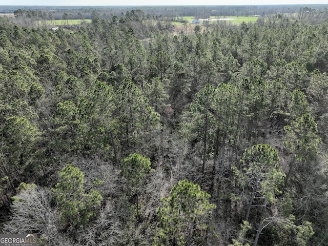 bird's eye view with a view of trees