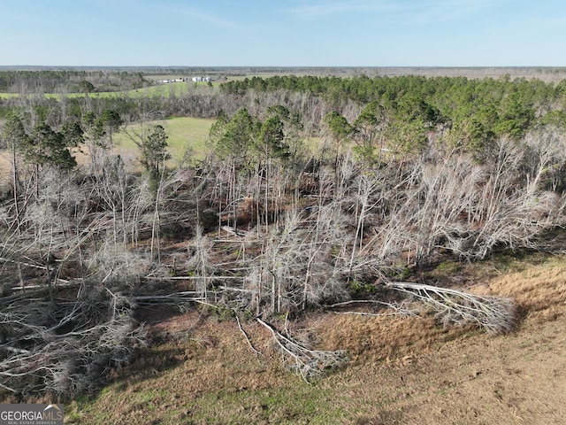 view of local wilderness