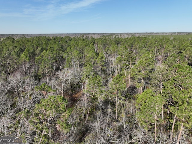 birds eye view of property with a forest view