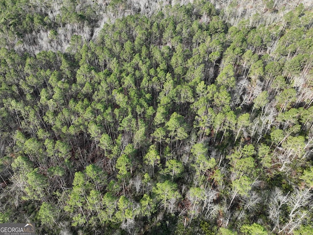 bird's eye view with a view of trees