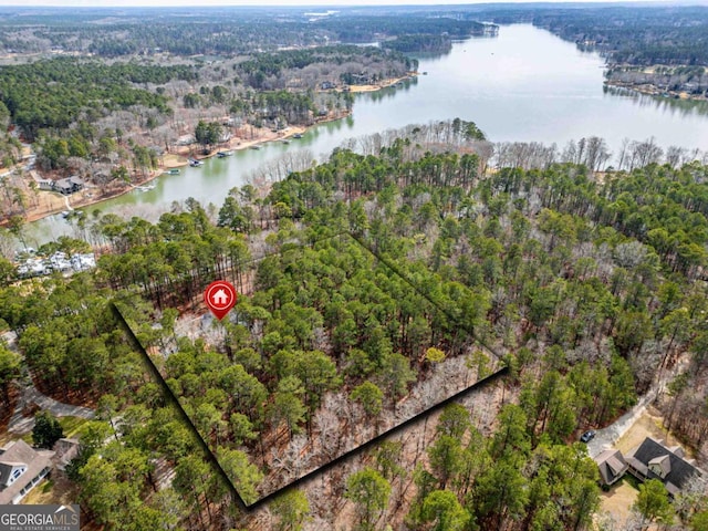 drone / aerial view with a water view and a view of trees