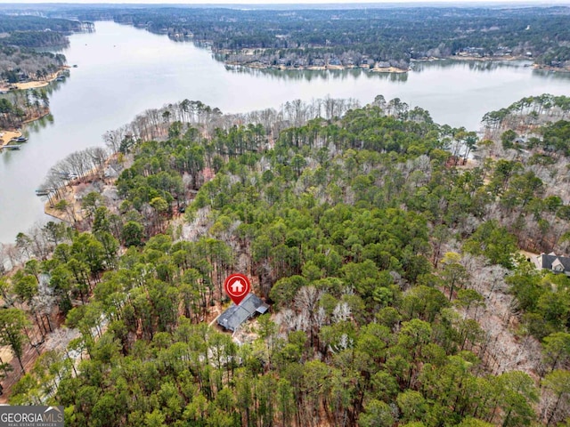 aerial view with a water view and a view of trees