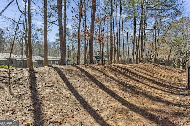 2701 Cumberland Ct SE, Smyrna, GA 30080 - view of yard