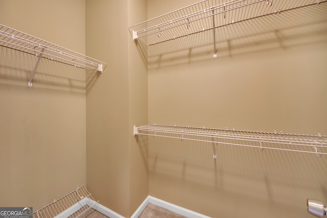 spacious closet featuring carpet floors