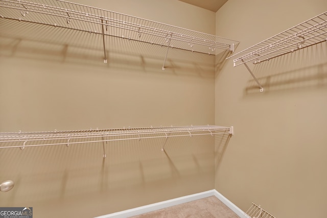 spacious closet featuring carpet flooring