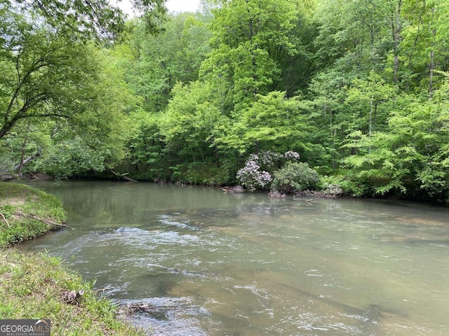 view of water feature featuring a view of trees