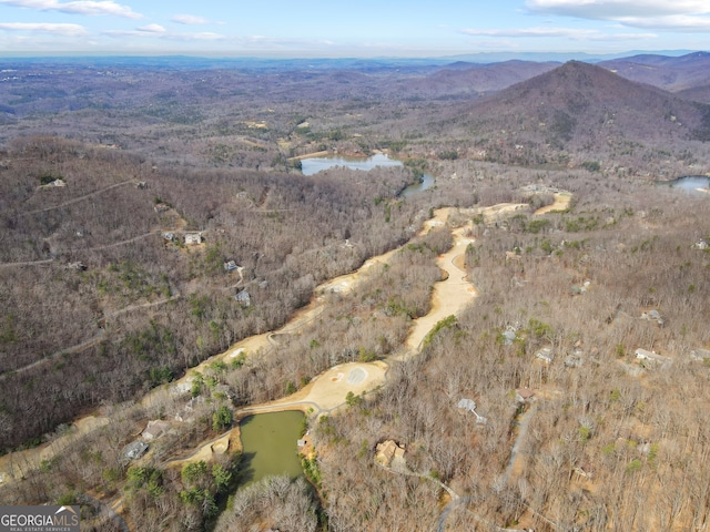 drone / aerial view featuring a water and mountain view