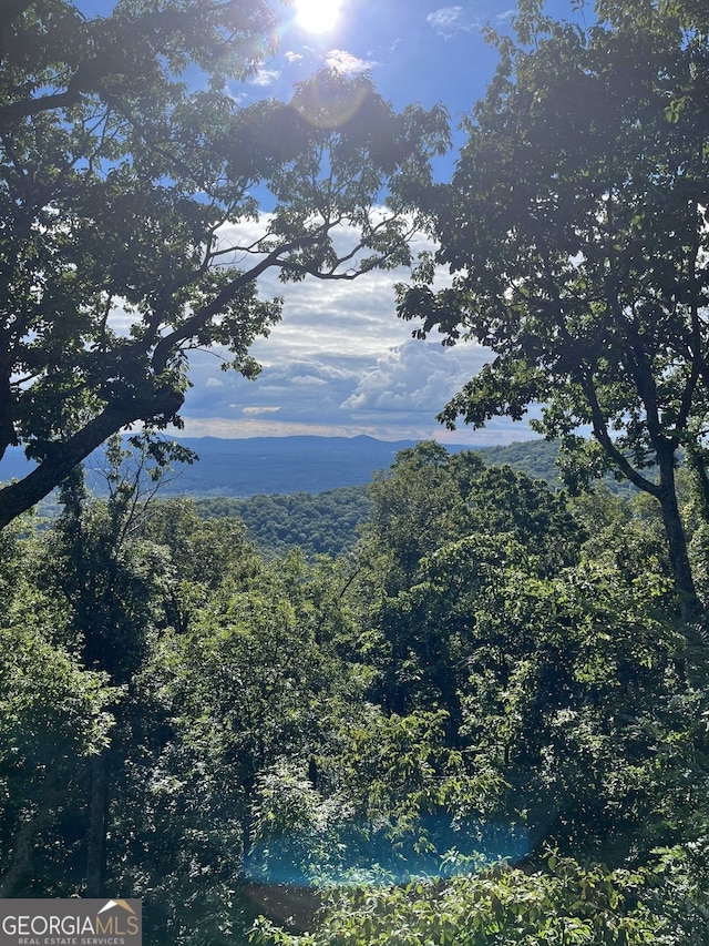 property view of mountains with a wooded view