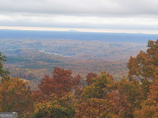 mountain view with a forest view