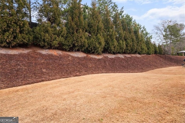 view of yard with fence