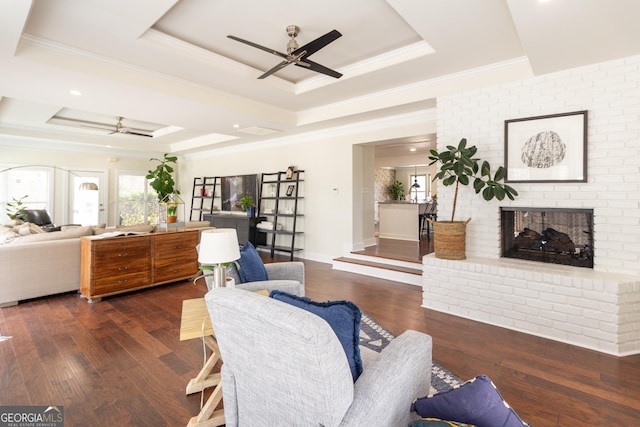 living area with dark wood finished floors, a ceiling fan, ornamental molding, a tray ceiling, and a fireplace