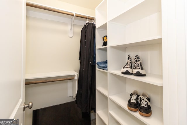 view of spacious closet