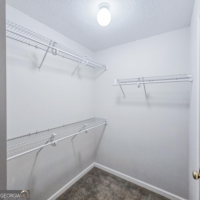 spacious closet featuring dark colored carpet