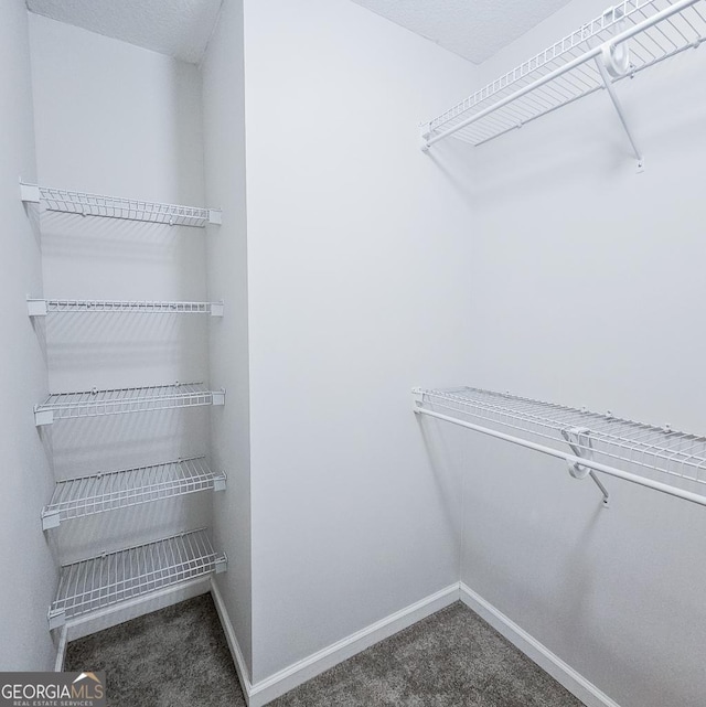 walk in closet with carpet flooring