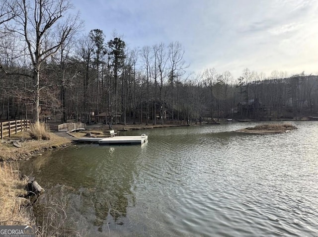 water view featuring a wooded view