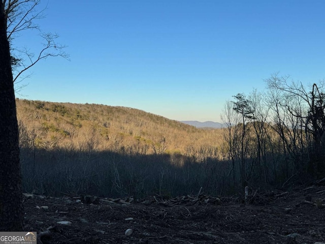 view of nature with a mountain view