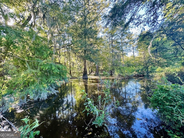 view of local wilderness featuring a wooded view