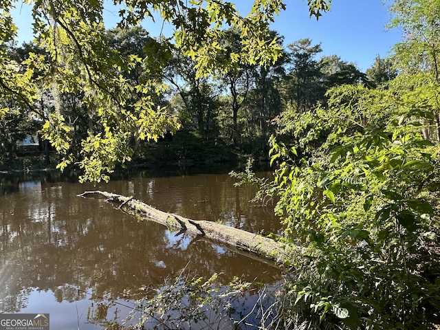 view of water feature