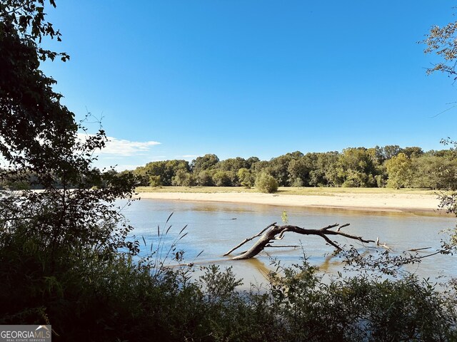 property view of water featuring a wooded view