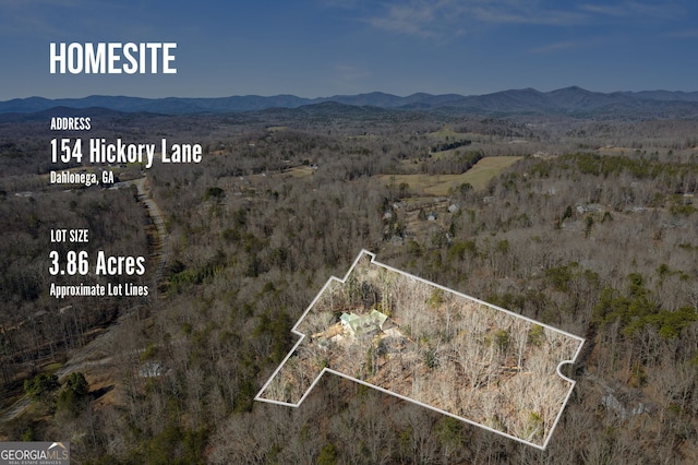 birds eye view of property with a mountain view