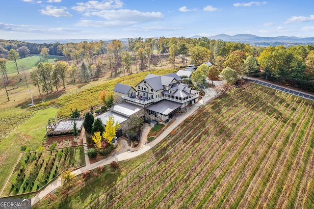 bird's eye view with a mountain view and a rural view