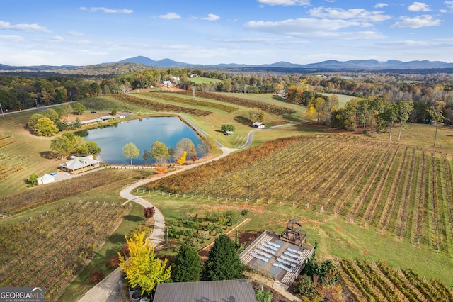 birds eye view of property with a water and mountain view and a rural view