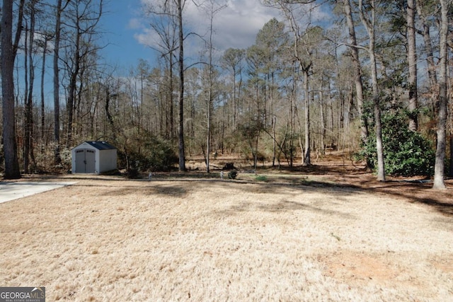 view of yard featuring a storage unit and an outdoor structure