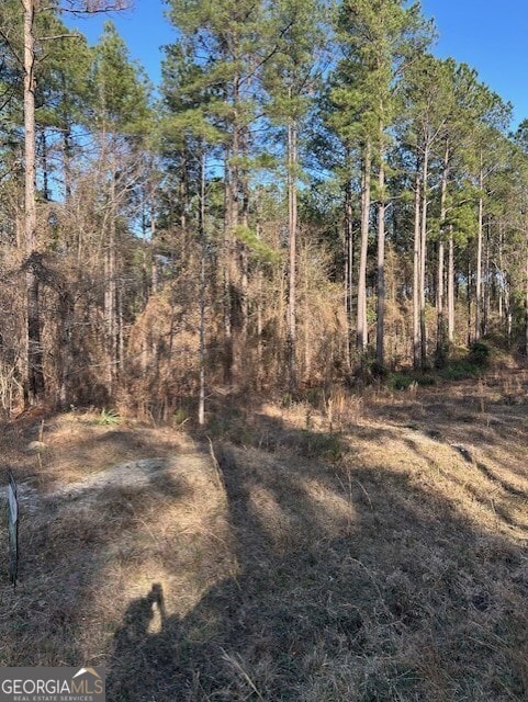 Listing photo 2 for LOT59A Colby Cir, Dublin GA 31021