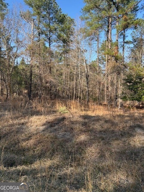 Listing photo 3 for LOT59A Colby Cir, Dublin GA 31021