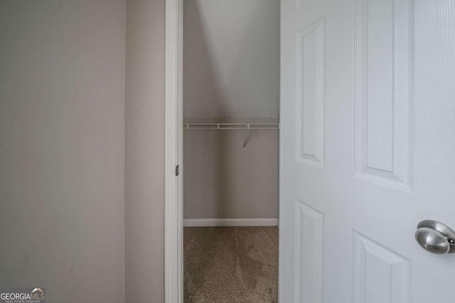 walk in closet featuring carpet flooring