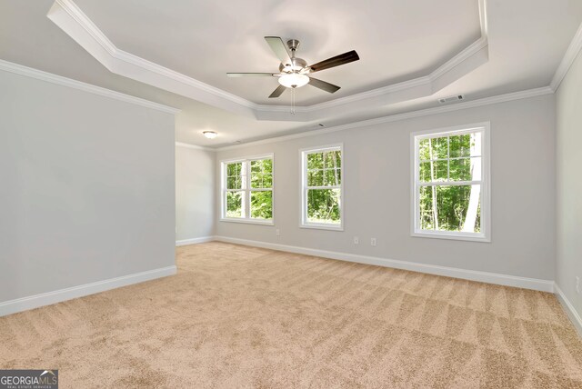 spare room featuring a tray ceiling, plenty of natural light, visible vents, and light colored carpet