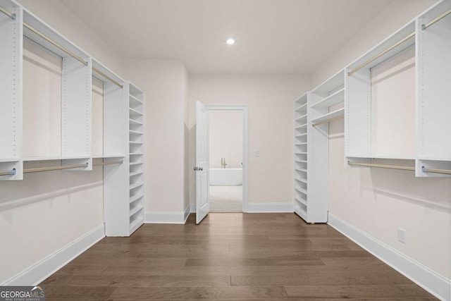 walk in closet featuring dark wood finished floors