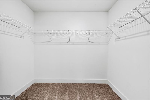 spacious closet featuring carpet